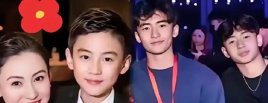 藏了八年的谜底终于揭晓，张柏芝小儿子正面照一出，全网都在感叹一件事。2026