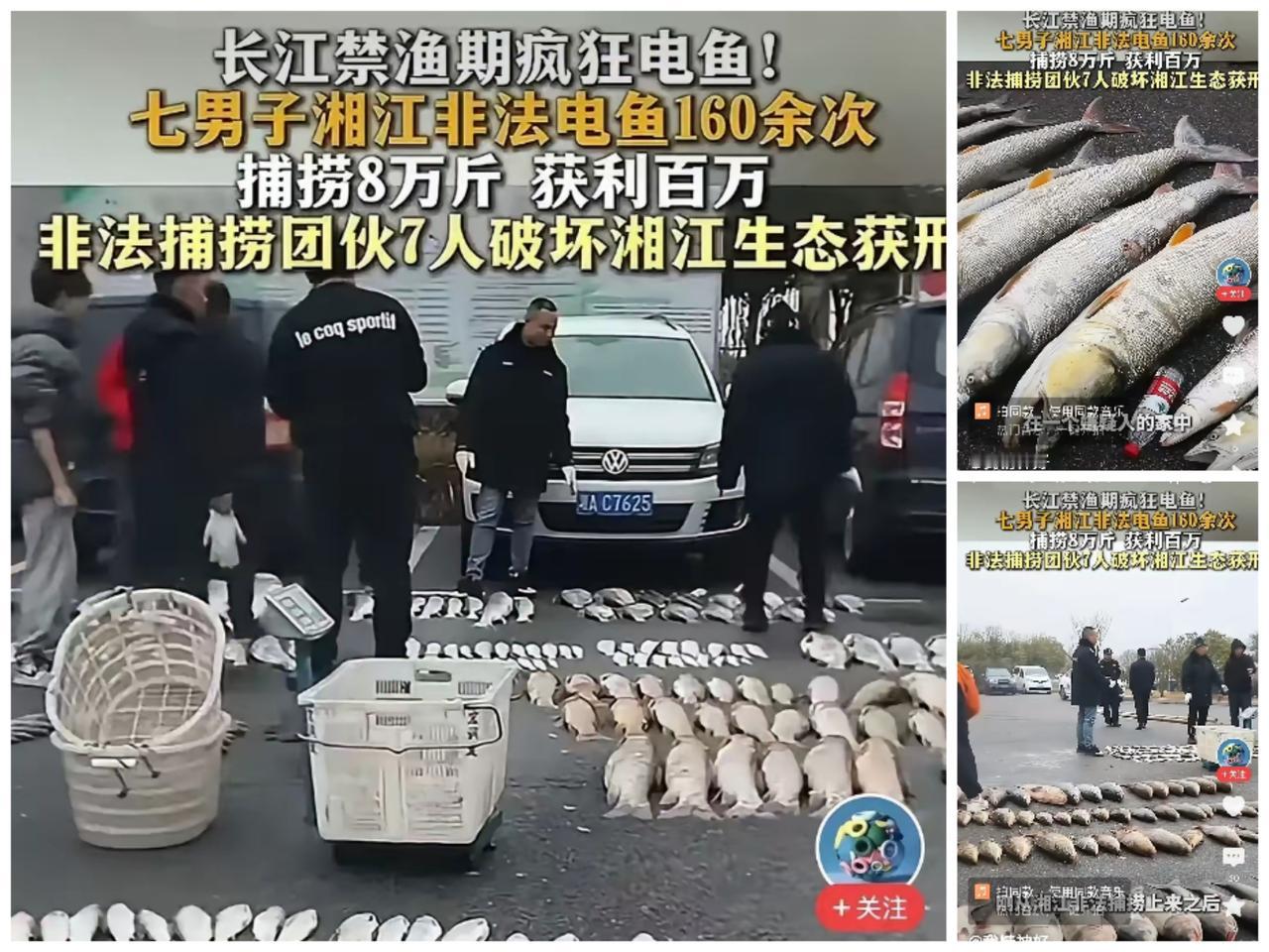 湘江深夜惊现“电鱼恶魔”！七人改装小船狂捞两年，赚百万却毁了整条江的生态。