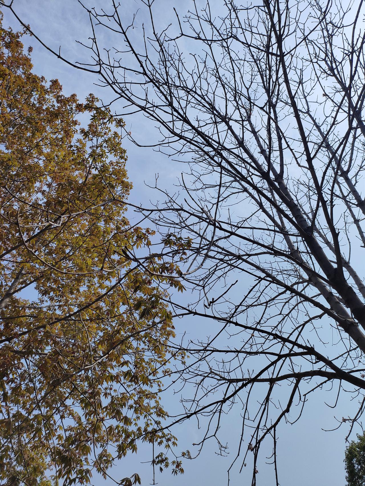 人老了，千万别轻易住到子女家！过来人的大实话，听着扎心我今年快七十了，走过
