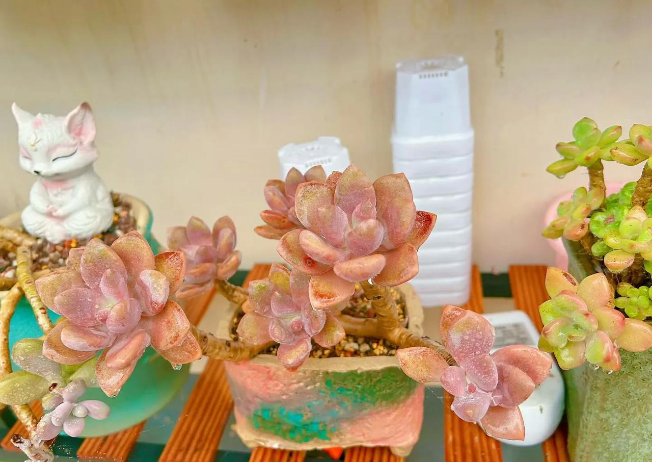 最近天冷了，老看见邻居夫妻晚上在家洗澡特别久。有人说洗下体能防病，有人说干净了反