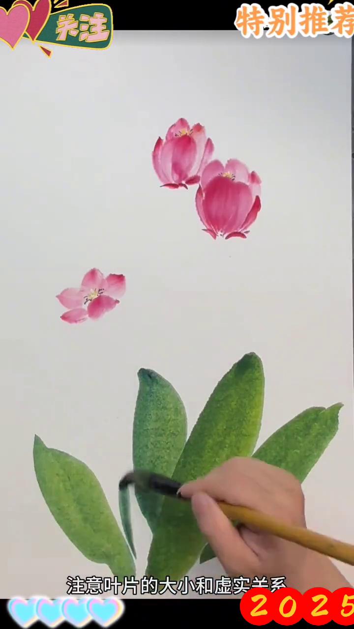郁金香画法。·笔肚清水，笔尖曙红，两笔画出一个花瓣，注意花瓣的大小和颜色深浅变