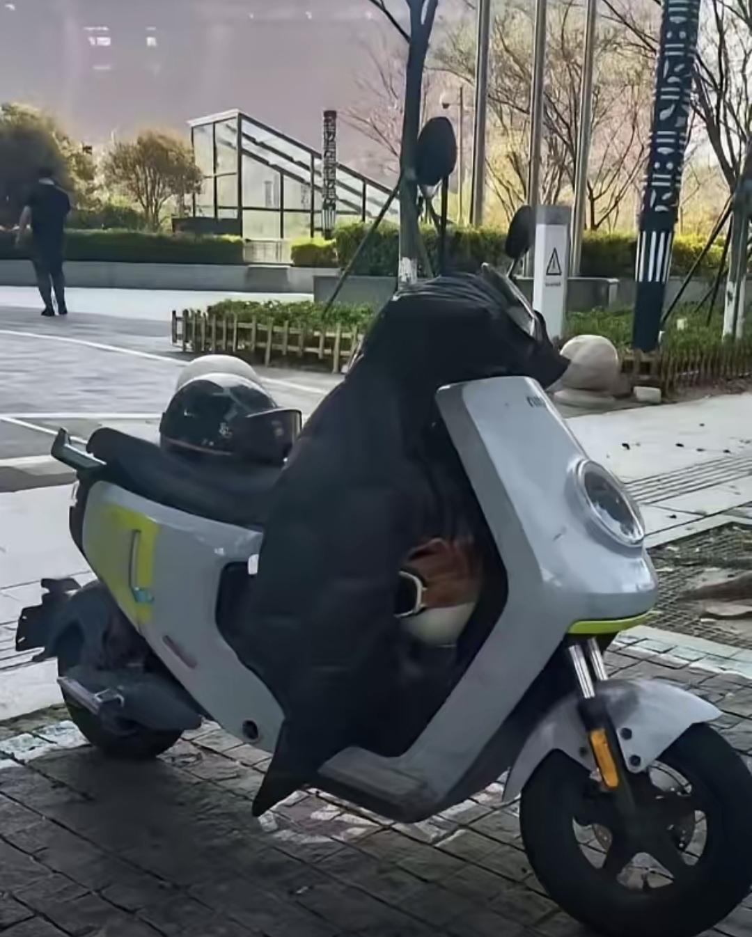 电动车还停在老地方，武亮的长文发了，张雪峰的事儿算是有了个实在的交代。不是啥煽