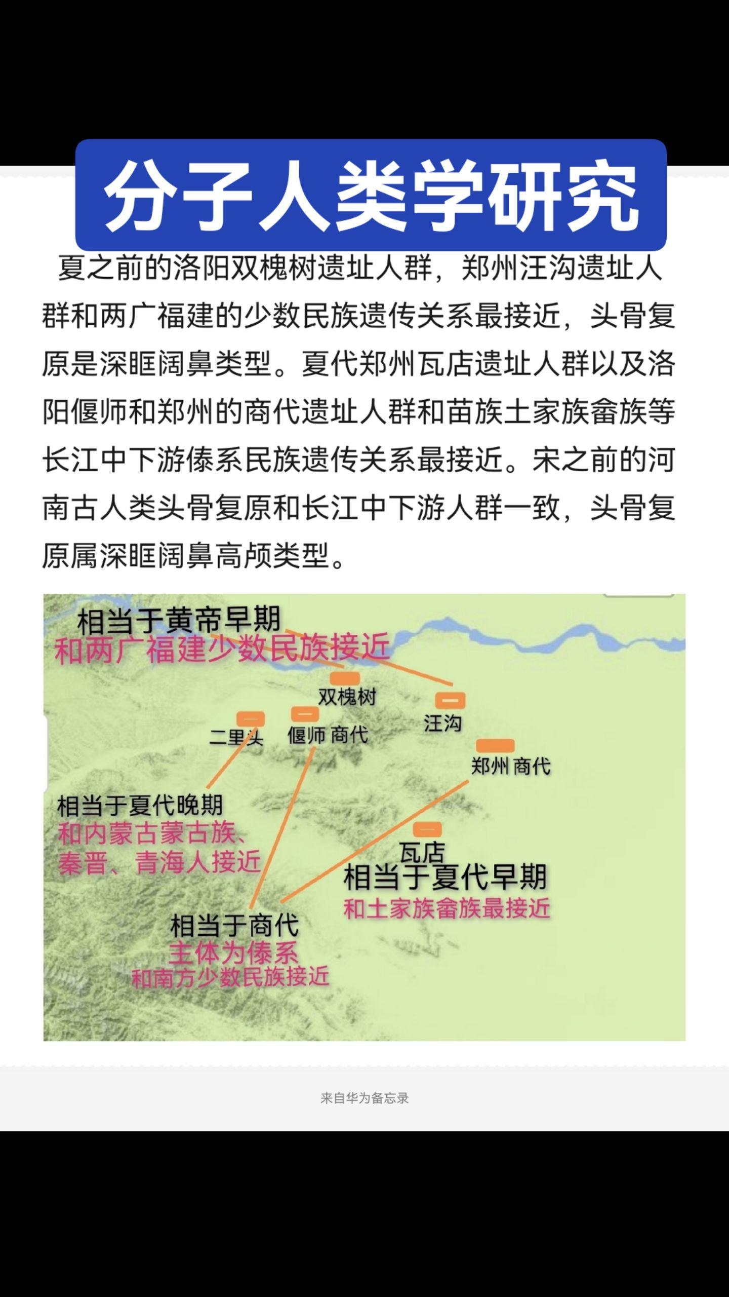 分子人类学