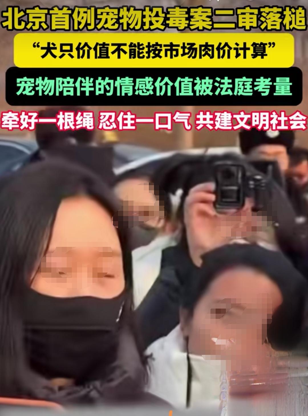 狗患的本质是人祸，再泛滥下去，真要成为一种邪教！