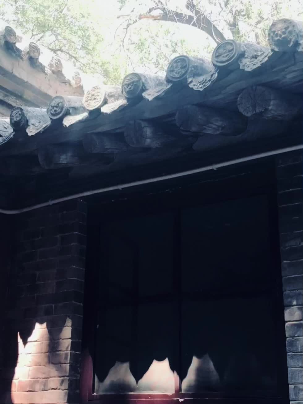 小猫形状的影子
