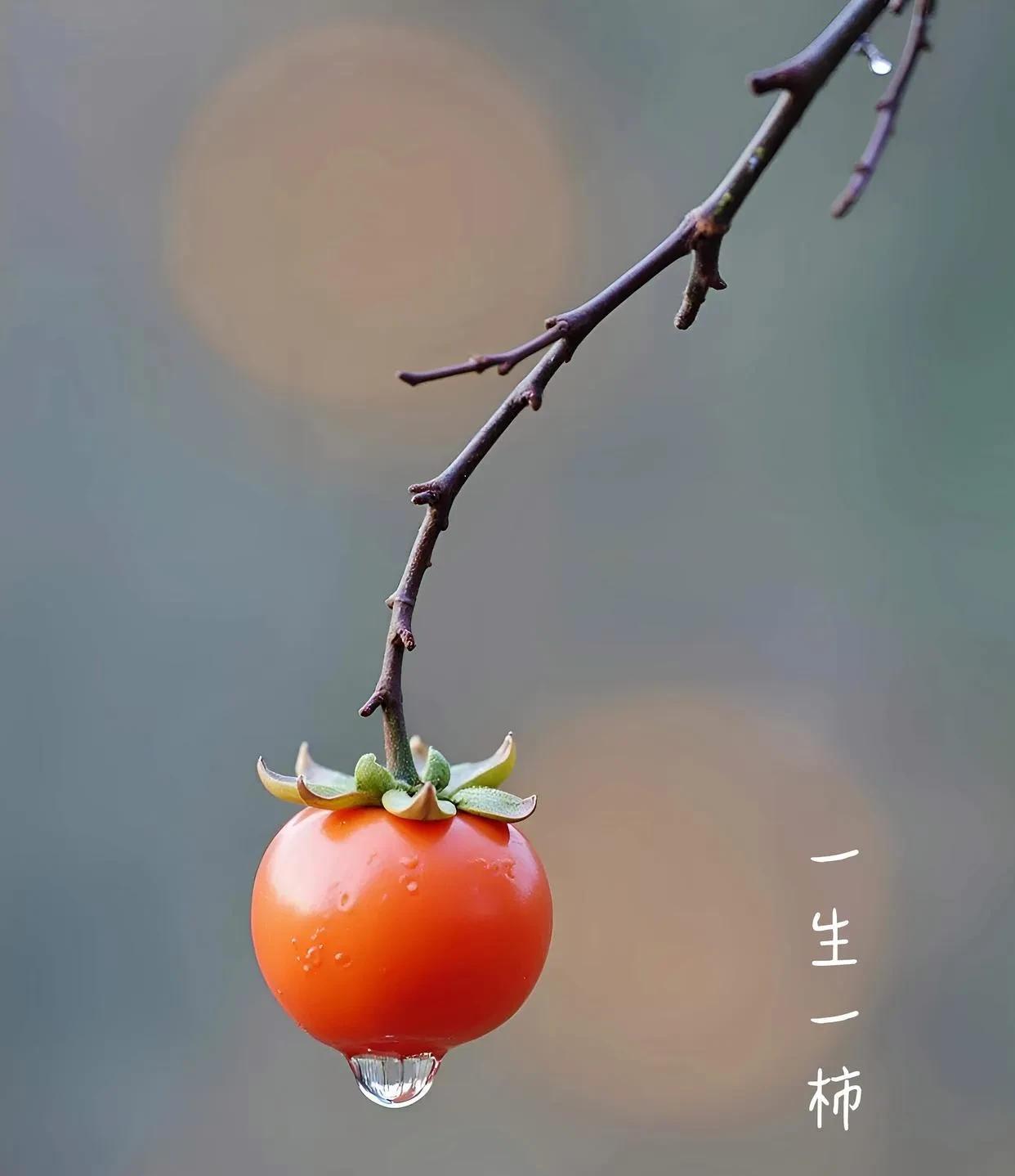 人的命天注定。我家表姐的儿子，从出生起名字时，人家批八字的就说，这孩子将来有出