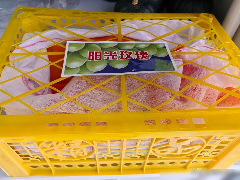 太可怕了，这葡萄还能吃吗？朋友中秋送来一盒阳光玫瑰，洗净后招呼家人吃，结果弟