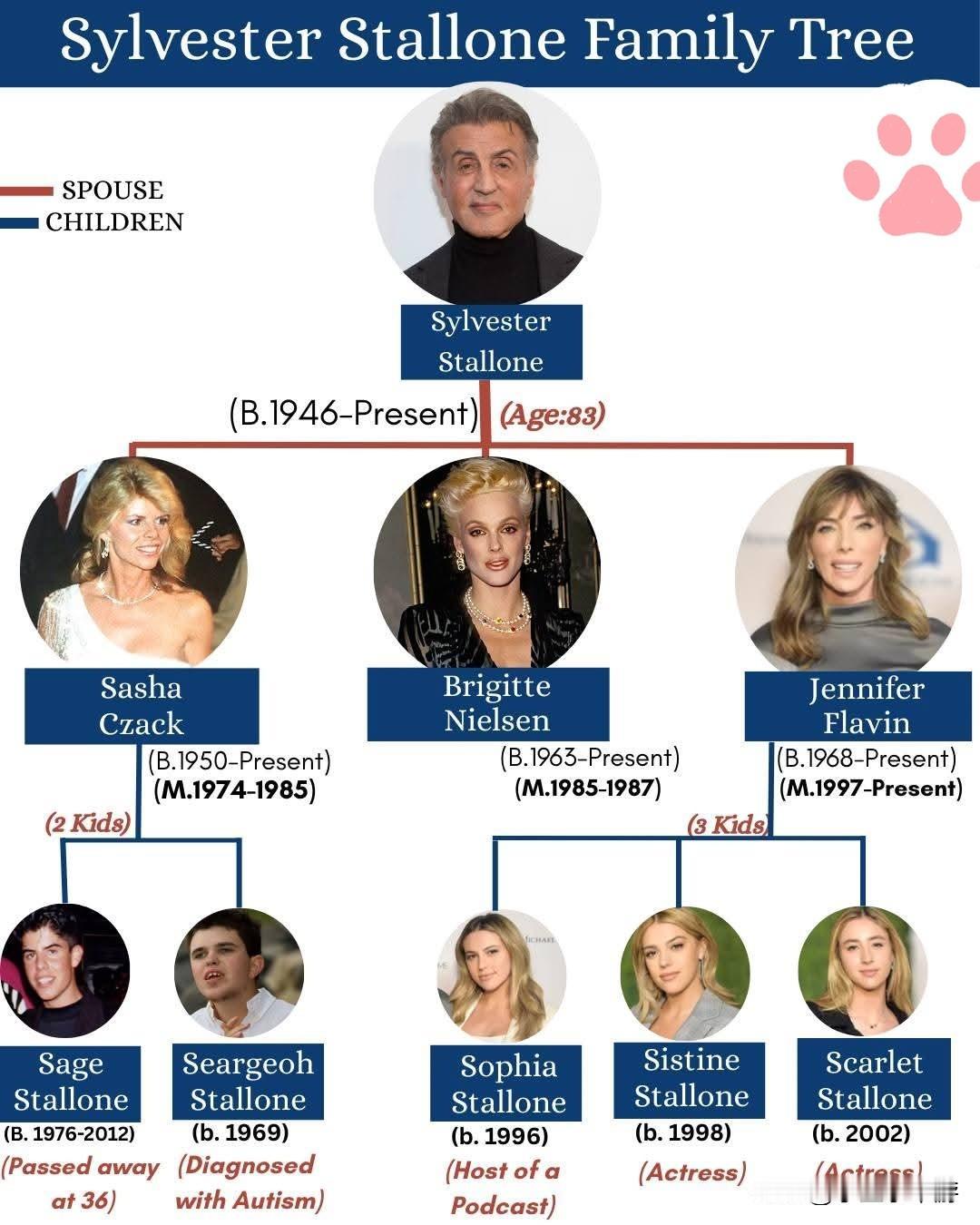 从洛奇到现实：史泰龙家族的完整故事