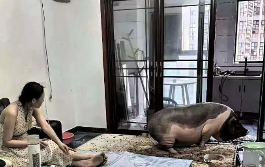 这样的家，我是一刻都呆不下去了!