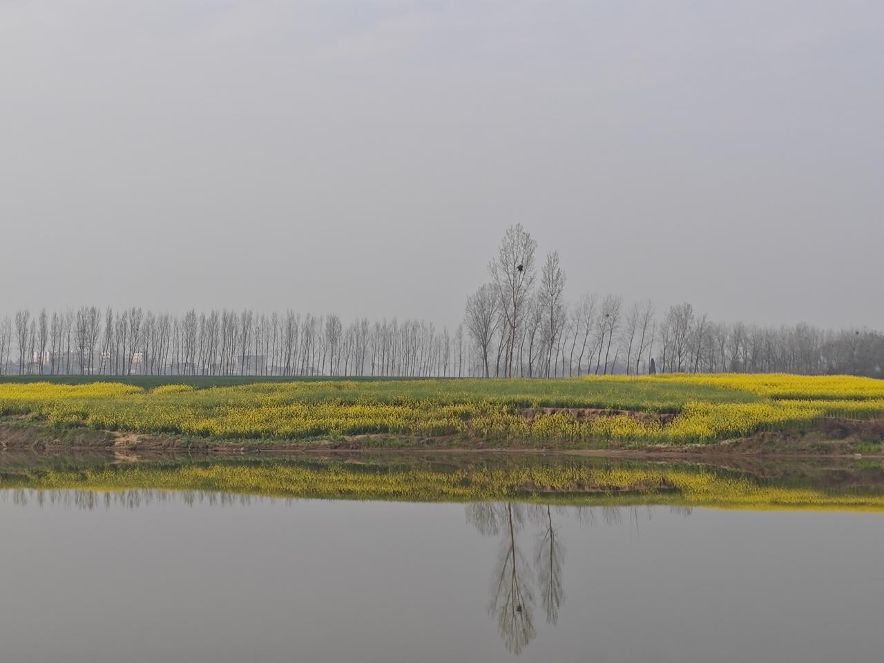 教师的晋升（职称评审）像是“登山”，路窄、险多、且排队的人极多。严格受岗位结构比