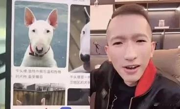 散打哥送牛头梗，陪伴Gou磊直播！这两天散打哥又跟Gou磊