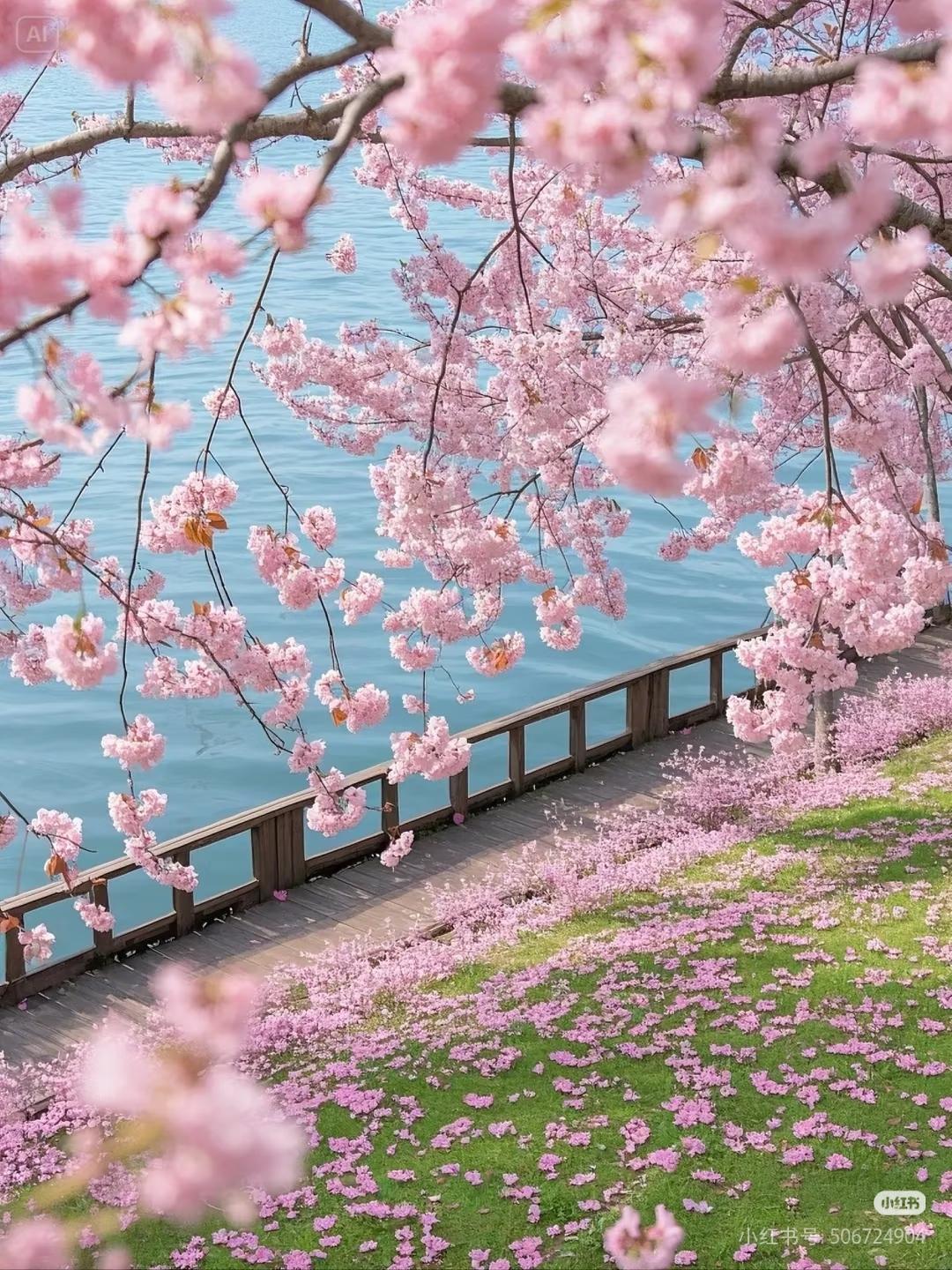 善良会使运气变好吗？这是一个看似简单，却深藏哲理的问题。在这个快节奏、竞争激烈的