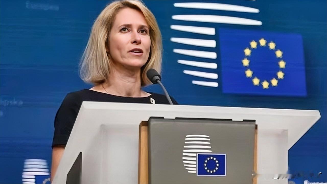 又来了！本周二，与德国国防部长皮斯托里乌斯的联合新闻发布会上，欧盟外交和安全政策