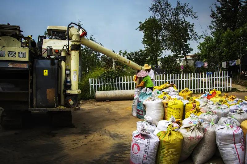 农业规模化下，土地集中在谁手里是个值得探讨的问题。以前农村土地以家庭为单位种