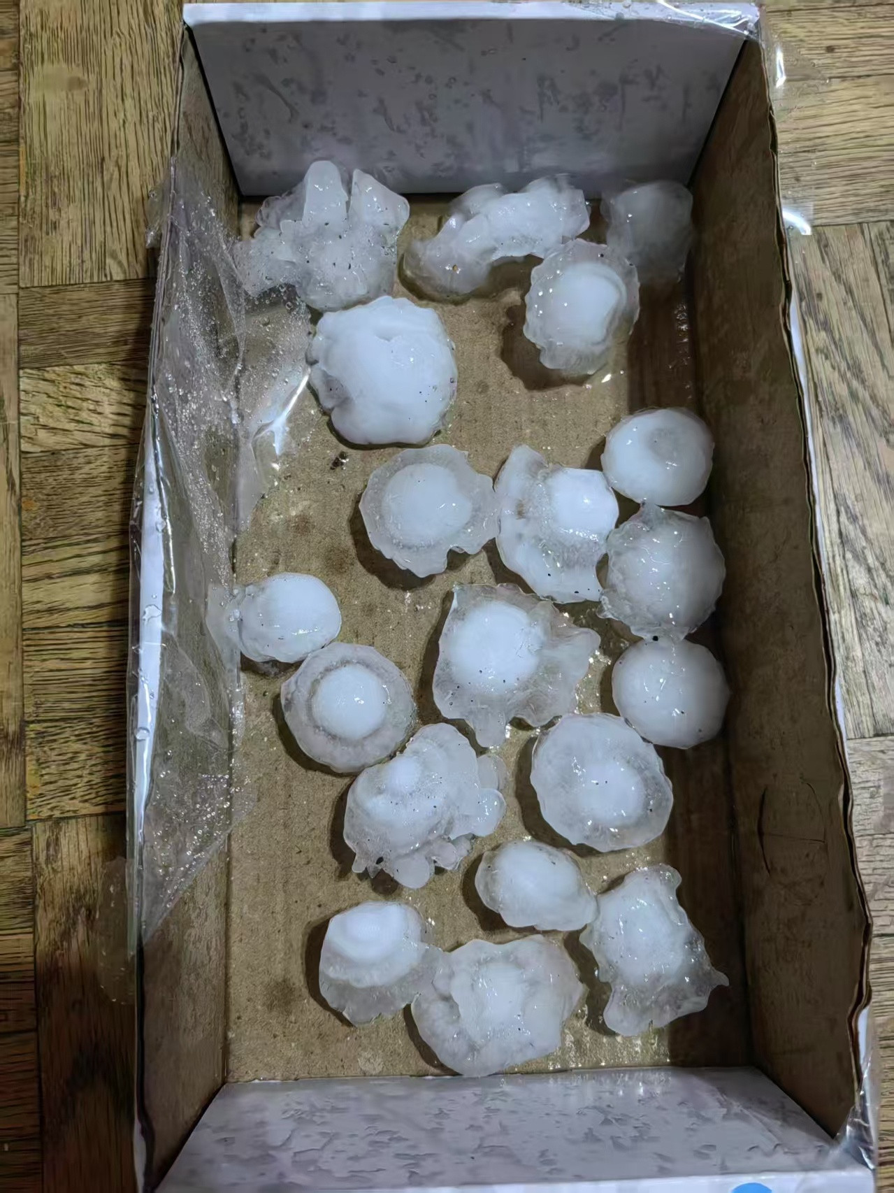 北京冰雹好大不少车窗被砸漏了，有的行人的头都……​​​