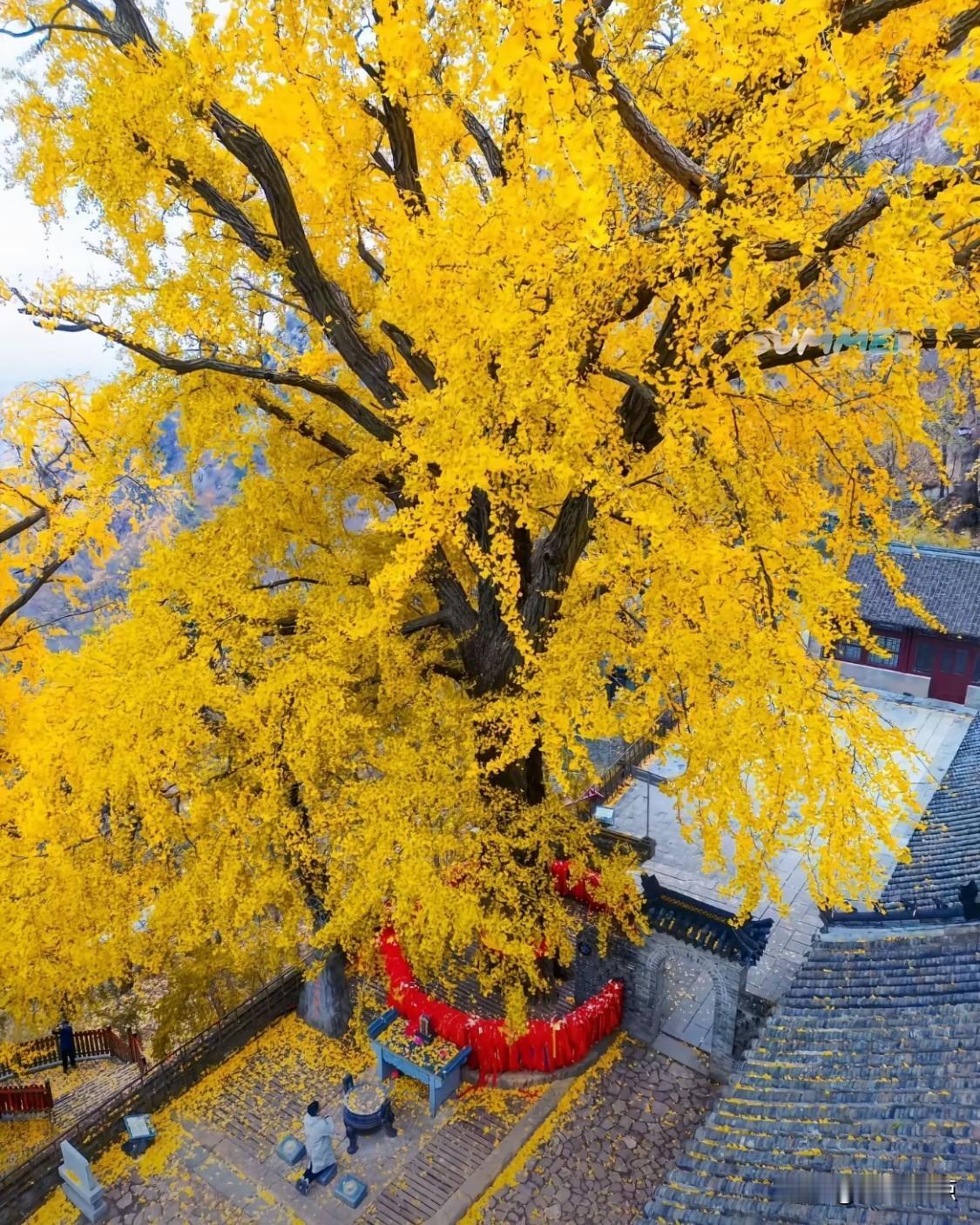 大孤山突然火了，没人说清为啥，它只是静静立在那儿。2月10号到12号，朋友圈全