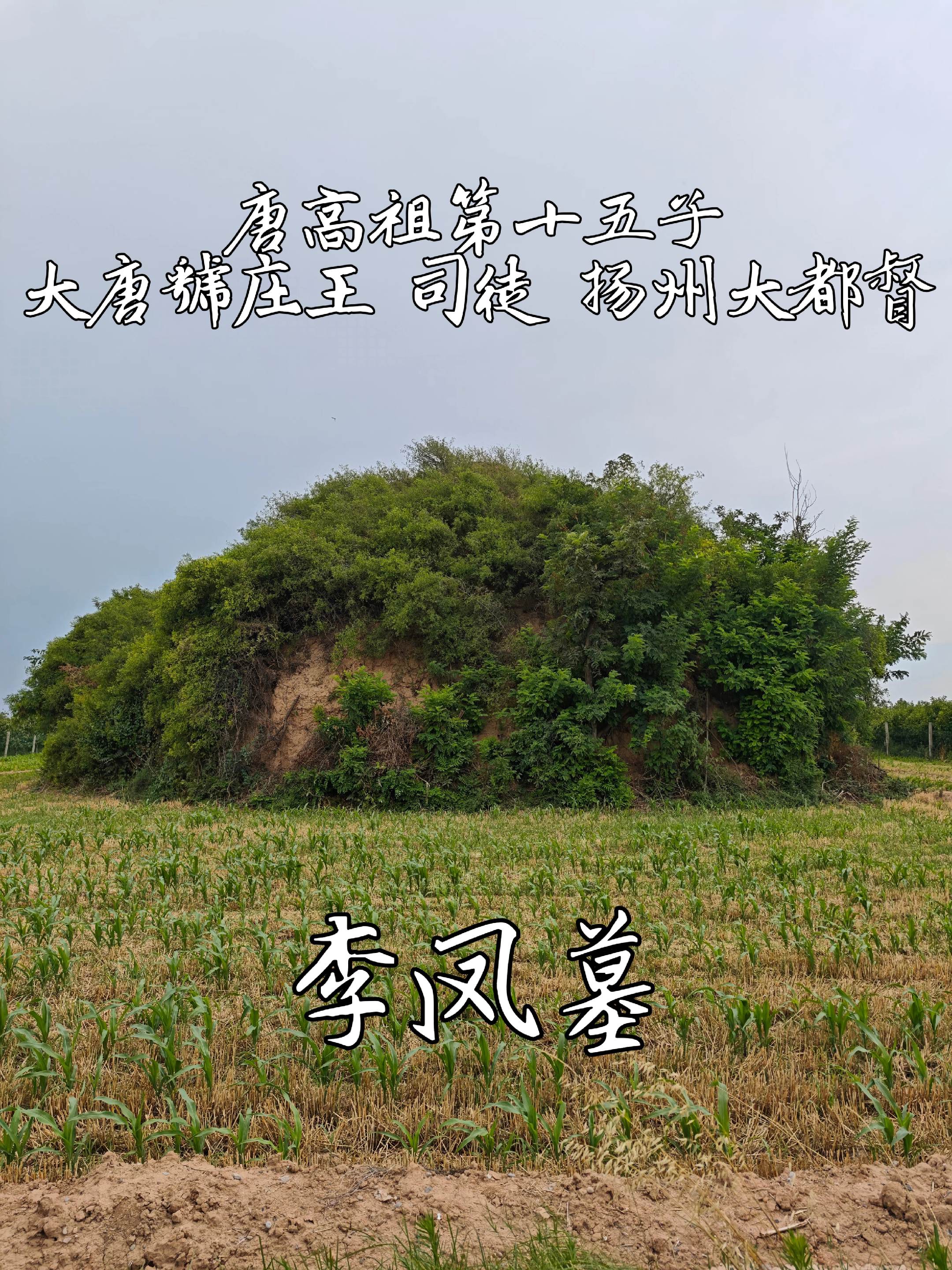 唐高祖第15子、大唐虢庄王·李凤墓。位于陕西省渭南市富平县城关街道北吕...