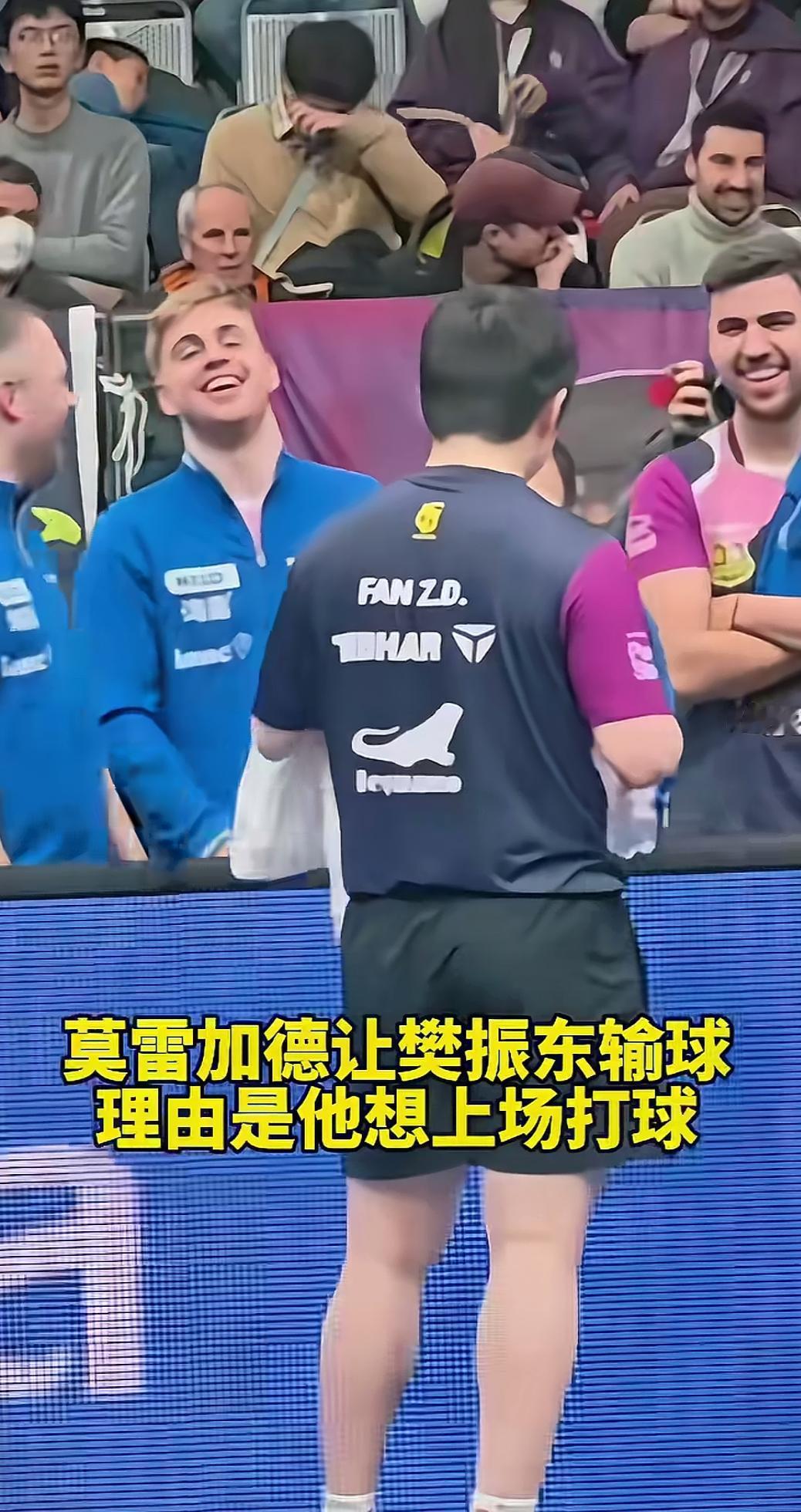 樊振东欧冠输两分，原来是被逼的，哈哈。为什么我们的比赛里就只有单调尖锐攻击性十足