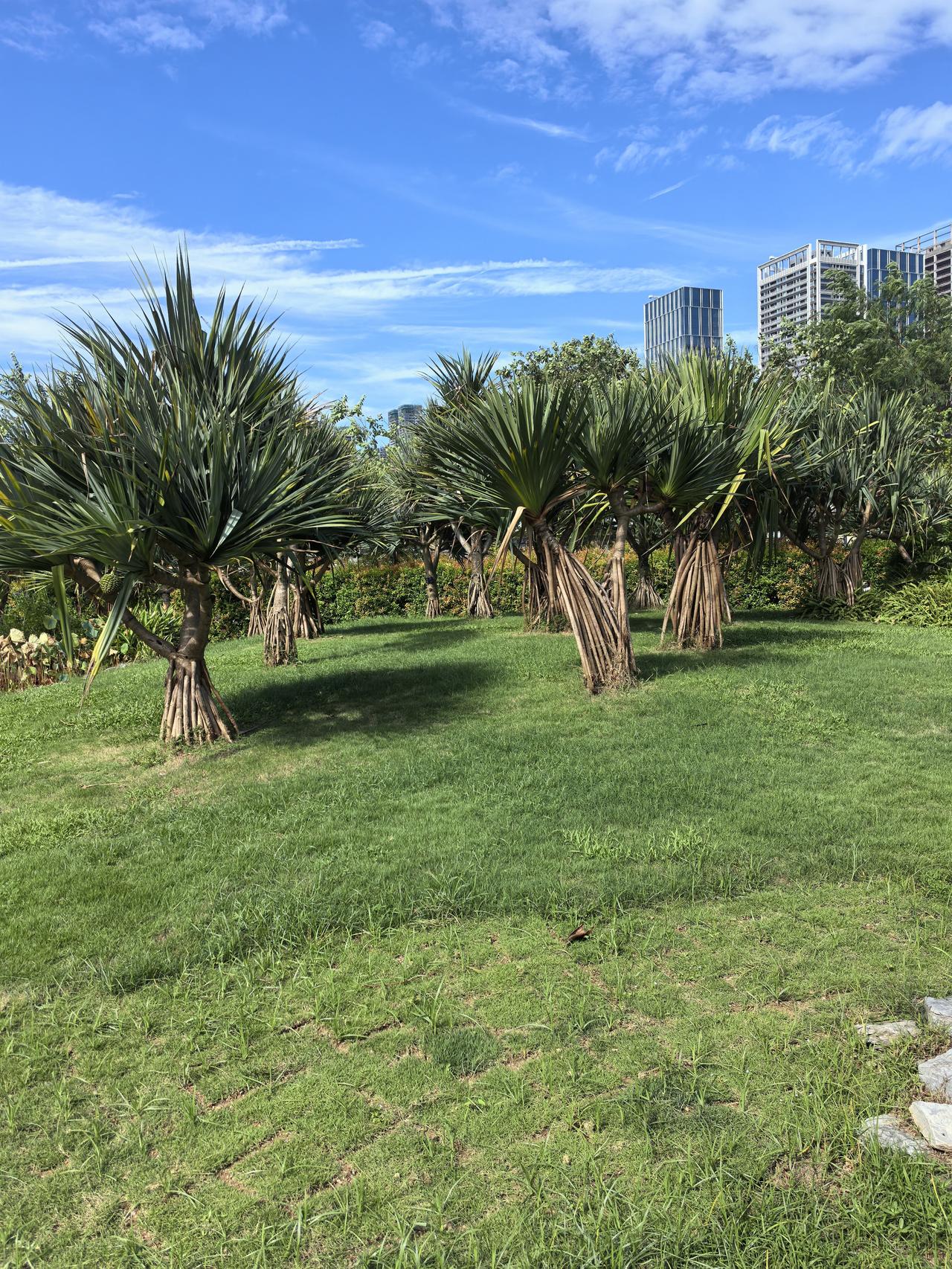 感觉同学群也退休了。我们43人的师范同学群，前年最后两个同学也退休了。随着退休时