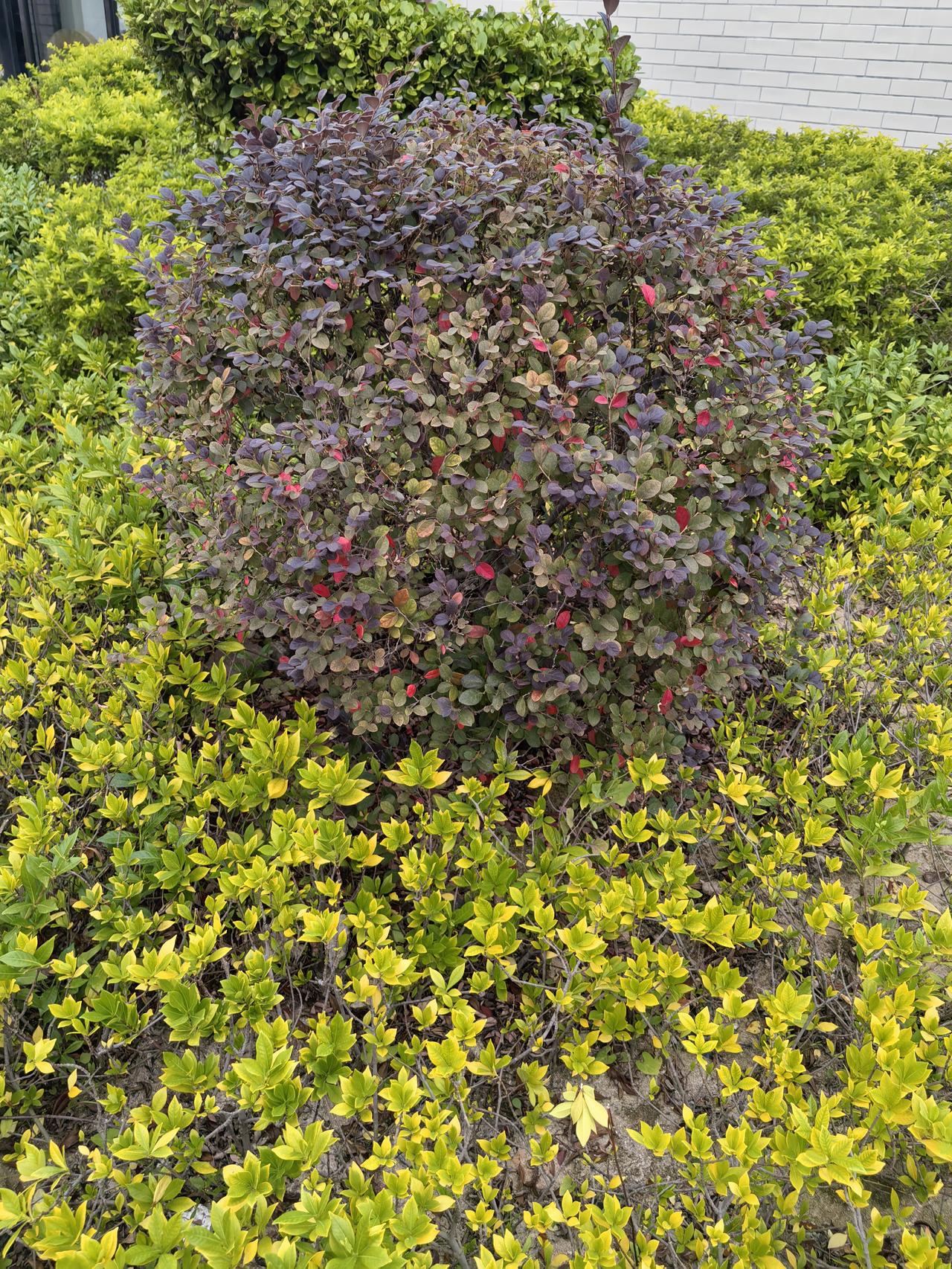 人性铁律:1．事业上，单打独斗，难成功，2．每一个丈母娘都希望找一个