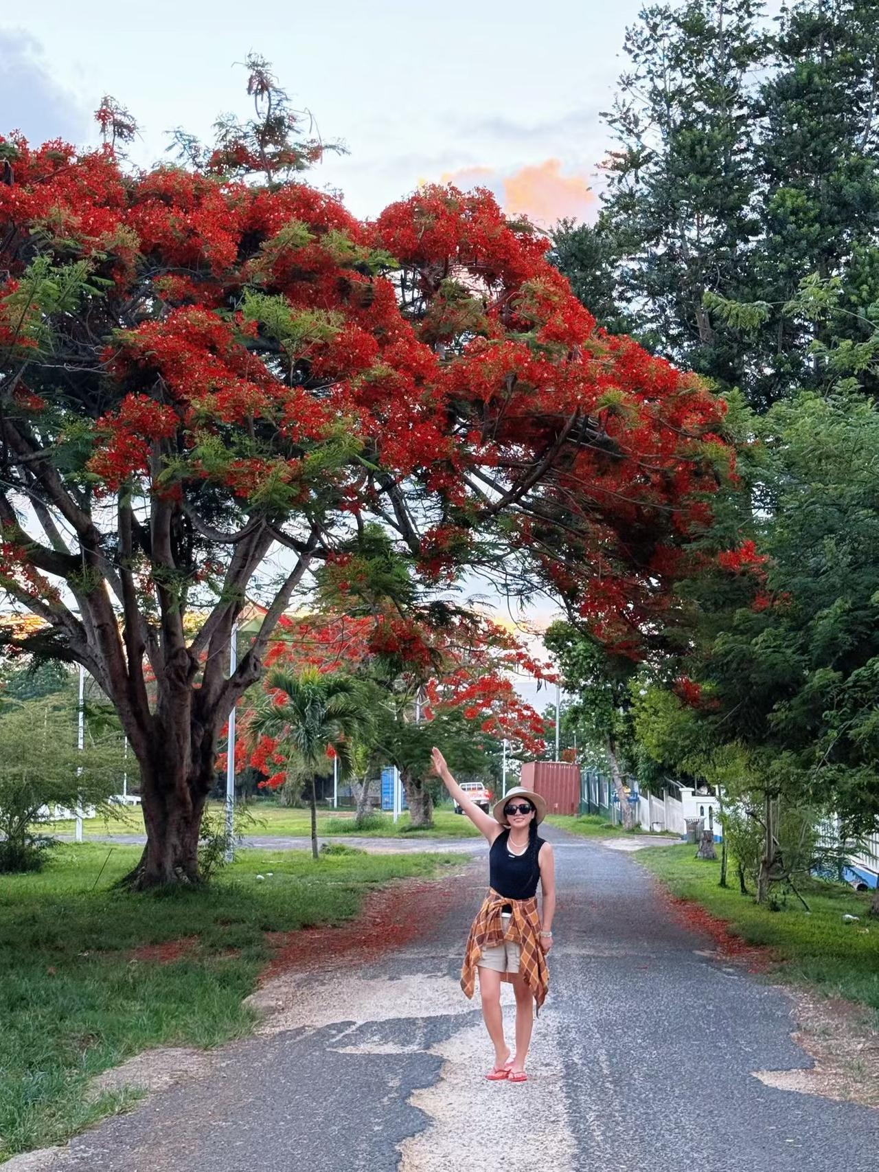 瓦努阿图｜🧡维拉港维拉港是一座充满热带风情的城市，随性走走，20分