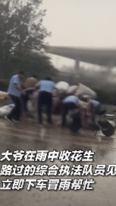 站在人群中间！山东某地突降暴雨，一大爷顶着大雨收拾马路边晾晒的花生，几个身穿制服