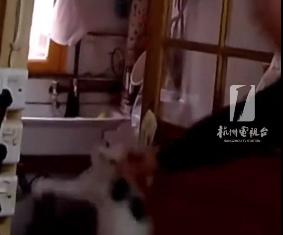 近日，杭州市拱墅区小河派出所接到辖区一名店主孙先生的报警求助，说楼上独居的90岁