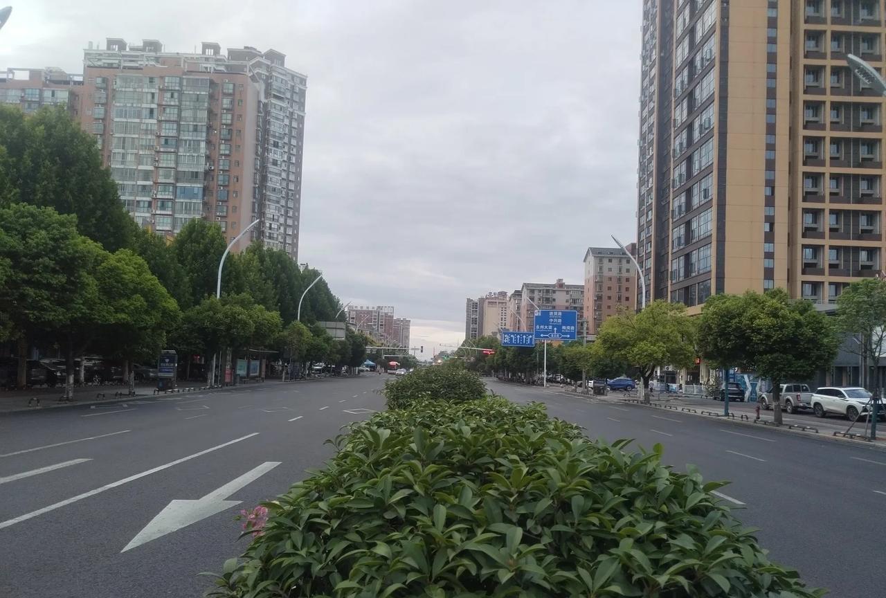 今天，我在永州街上，不知不觉从逸云路转到育才路来了。育才路是永州市委市政府机关