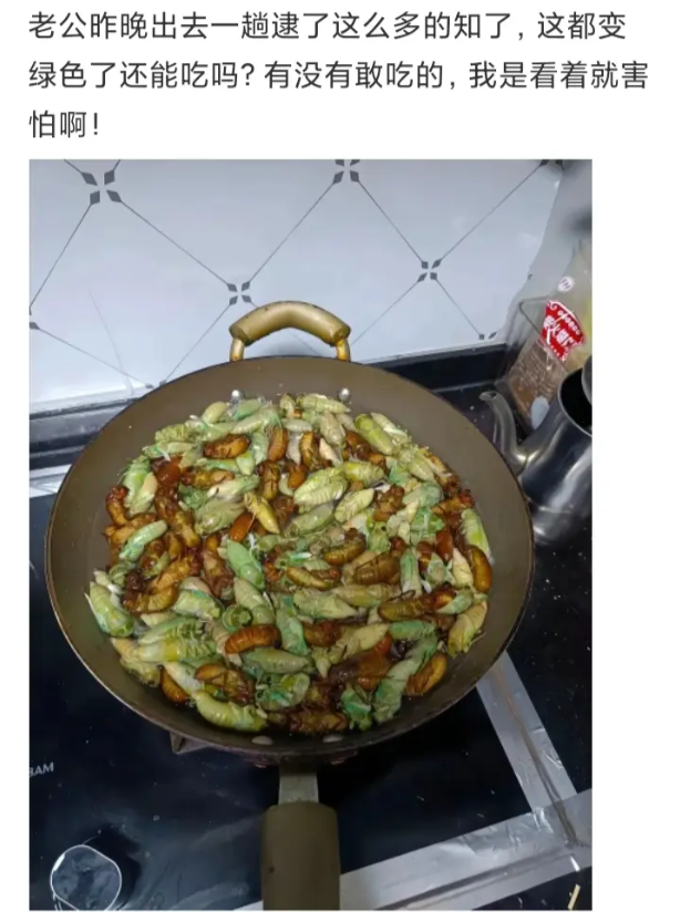 知了变色了还能吃吗？？？