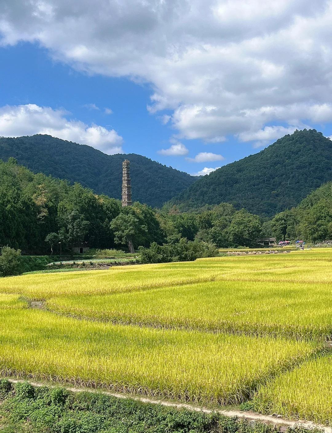 浙江有一座寺庙，口碑比洛阳白马寺还要好，它就是位于浙江台州天台县的国清寺。国