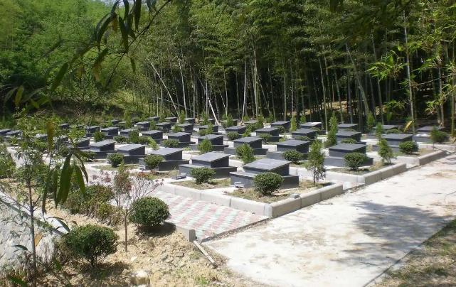 定了！3月30日全国执行新殡葬制度！死不起、葬不起的时代，终于要结束了！一口