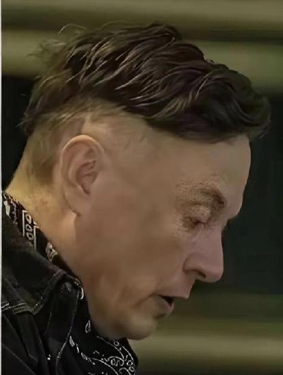 传说这是马斯克花两万美元设计的专属发型。这不就是烂大街的男士“鸡冠头”吧？一