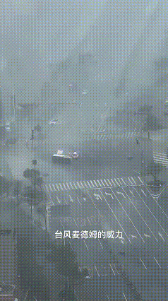 “湛江又被台风‘按头’了！麦德姆这威力绝了，狂风暴雨把街道搅得一片混沌，路上的车