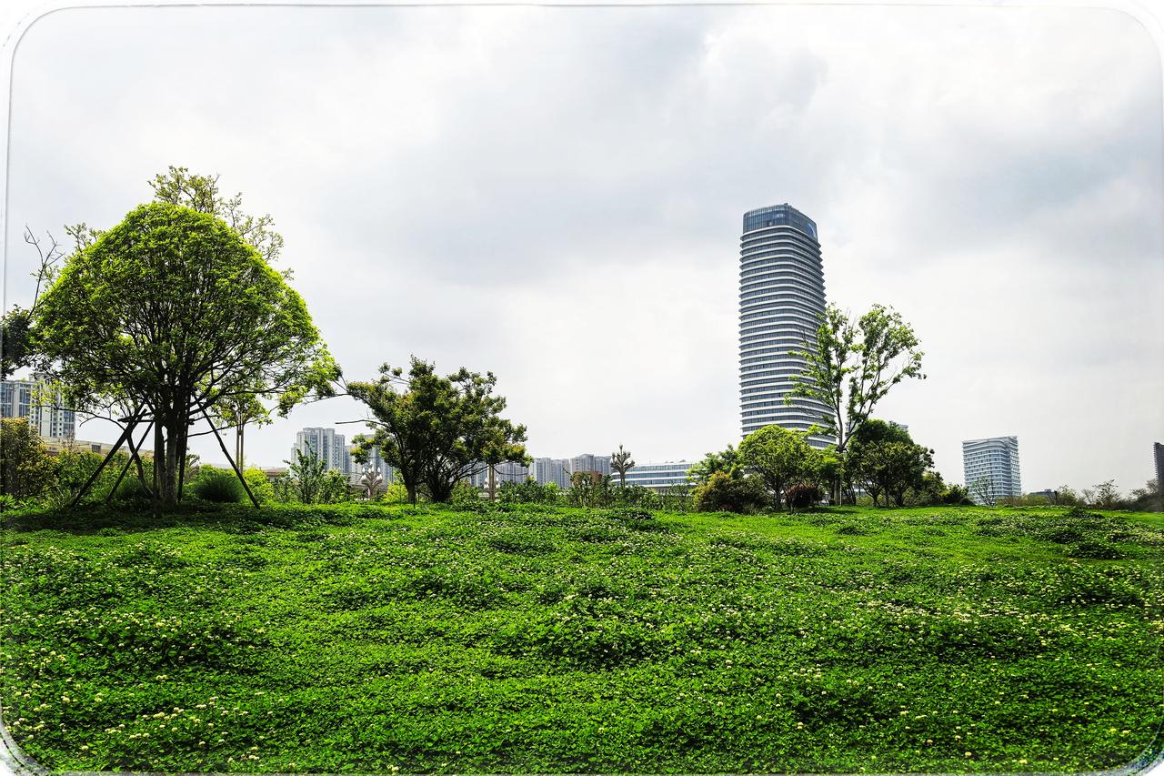 武汉光谷梅溪岭公园在武汉的版图里，有梦正拔节生长，梅溪岭公园，立在最年轻的土壤