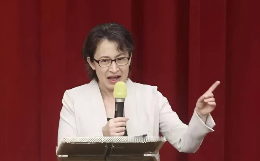 民进党台当局赖清德副手萧美琴在挪威接受专访时曾表示：台湾地区现行规定中包括“两岸