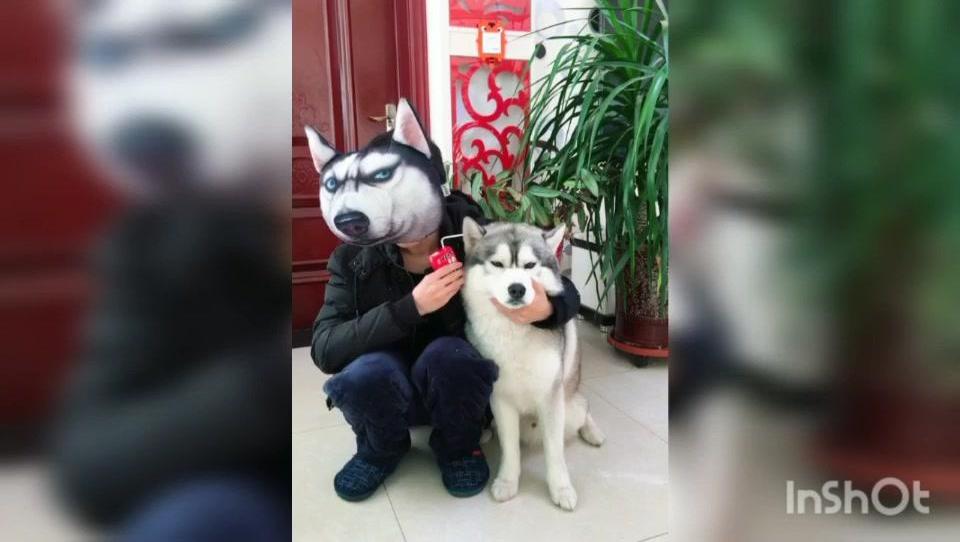 新x-man[070401]第二十期(最终回)-320x240_土