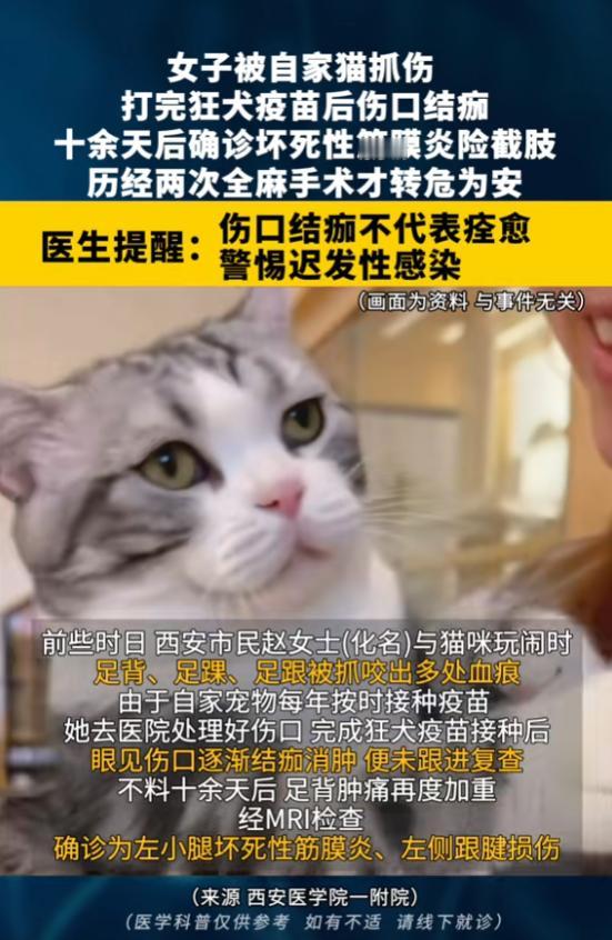 “悲剧还是发生了！”8月12日报道，陕西西安，一女子被自家猫抓伤，她打完狂犬疫苗