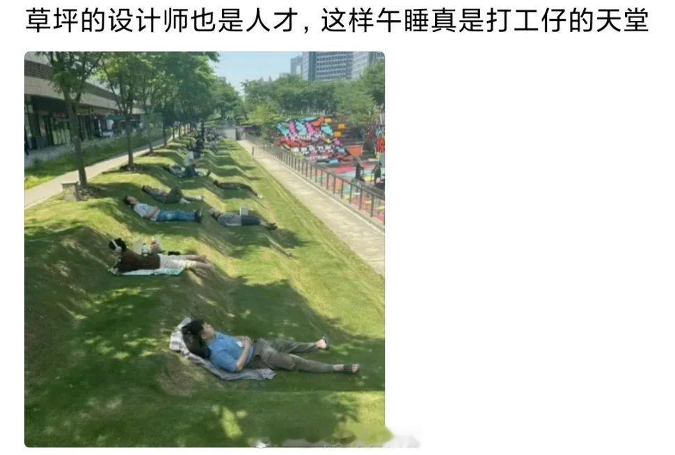 你想睡在什么样的草地上？​​​