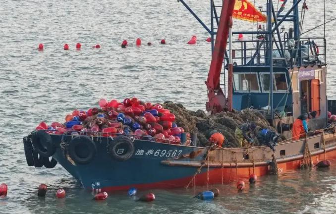 清算开始了？日本在东海悍然扣押中国渔船，彻底踩碎了中方的忍耐底线！这根本不是