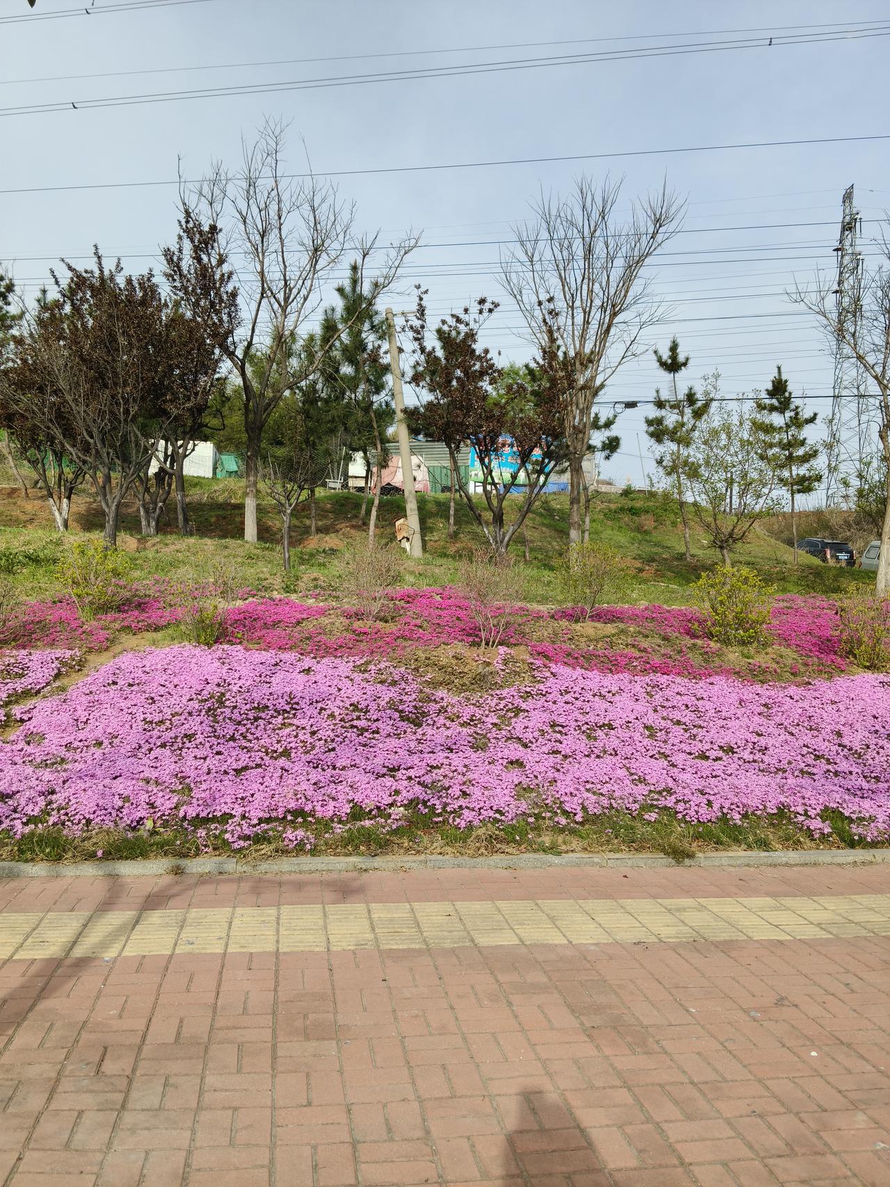 学生还能不能管了？邻县高中最近出了件大事，有学生从教学楼上跳了下来，伤的不