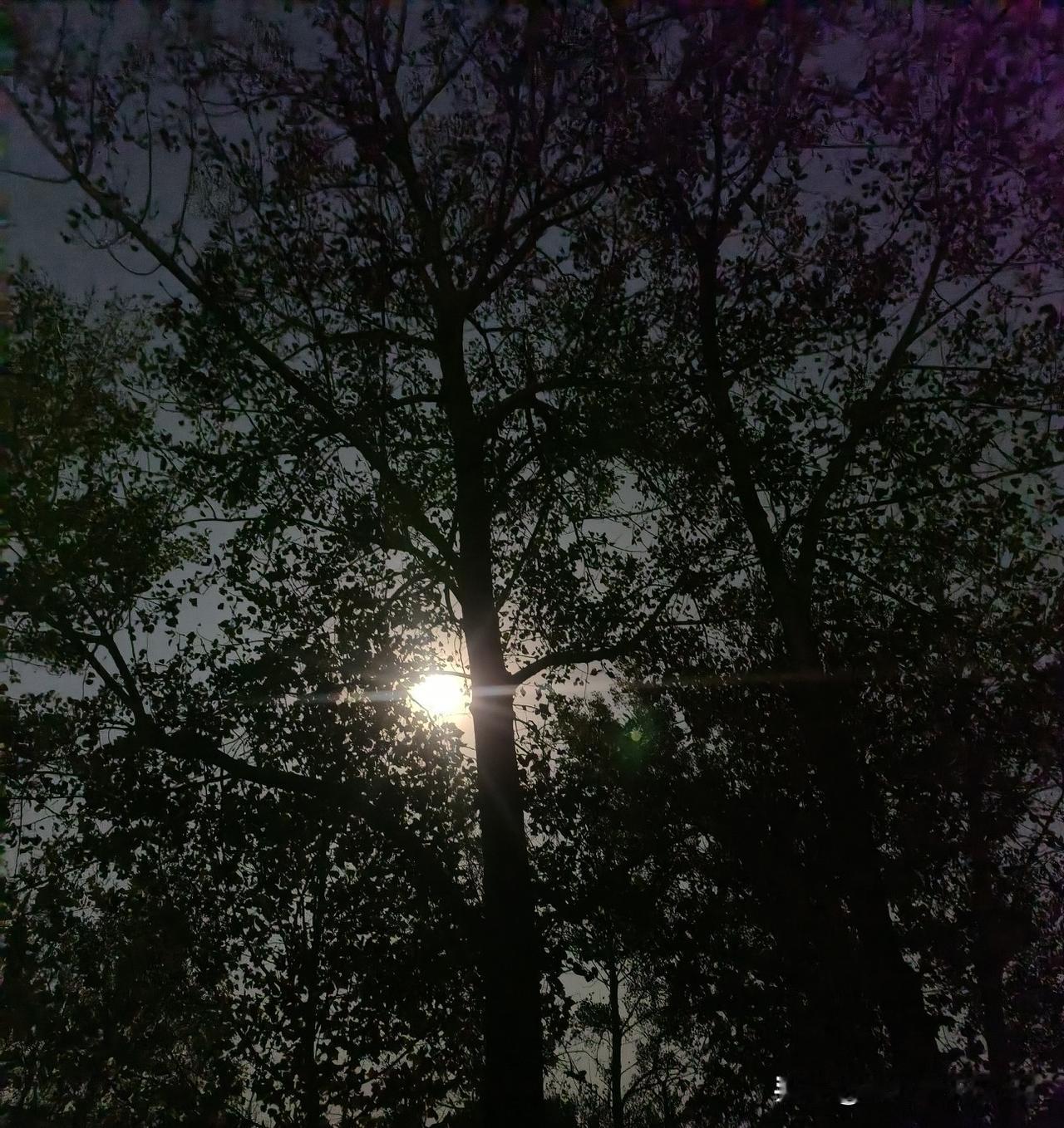 全球通缉‘台独’首恶！大陆亮出红色通缉令，天涯海角无处遁形逃到天涯海角，“台