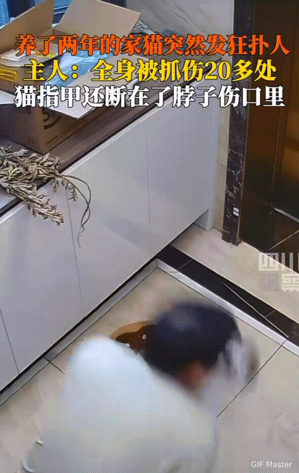 “养不熟的白眼狼！”武汉，男子闲来无事，蹲地上逗自己家猫，没想到，猫却突然扑了他