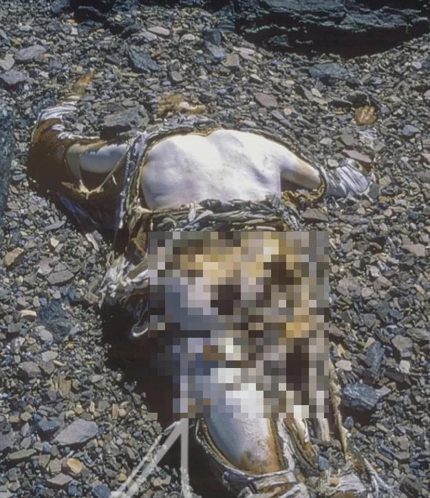这是英国登山家乔治·马洛里的遗体，于1999年5月1日在珠穆朗玛峰上