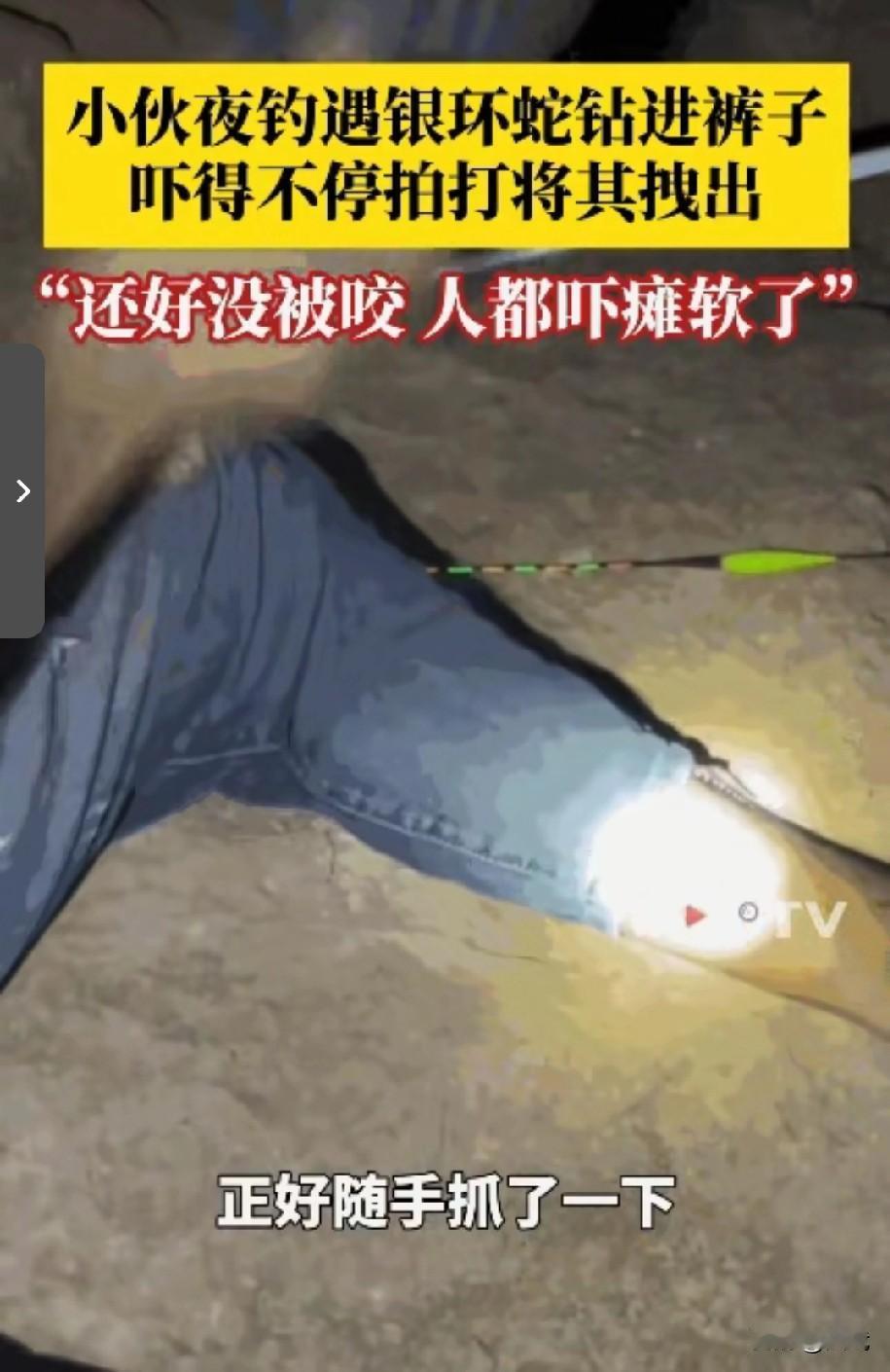 夜钓遇银环蛇！防城港男子拖鞋“拍蛇”化险为夷，网友：这运气太“毒”了！‌9月