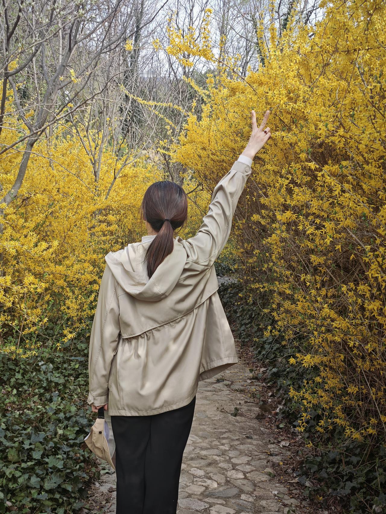 春日赴昆嵛山，赴一场花与山的约会！风里是草木的清香，眼底是山野的温柔，把春天的浪
