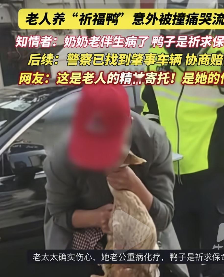 江苏的一位老奶奶抱着一只被车压死的鸭子嚎啕大哭。旁边围绕了许多人在看笑话，不就是