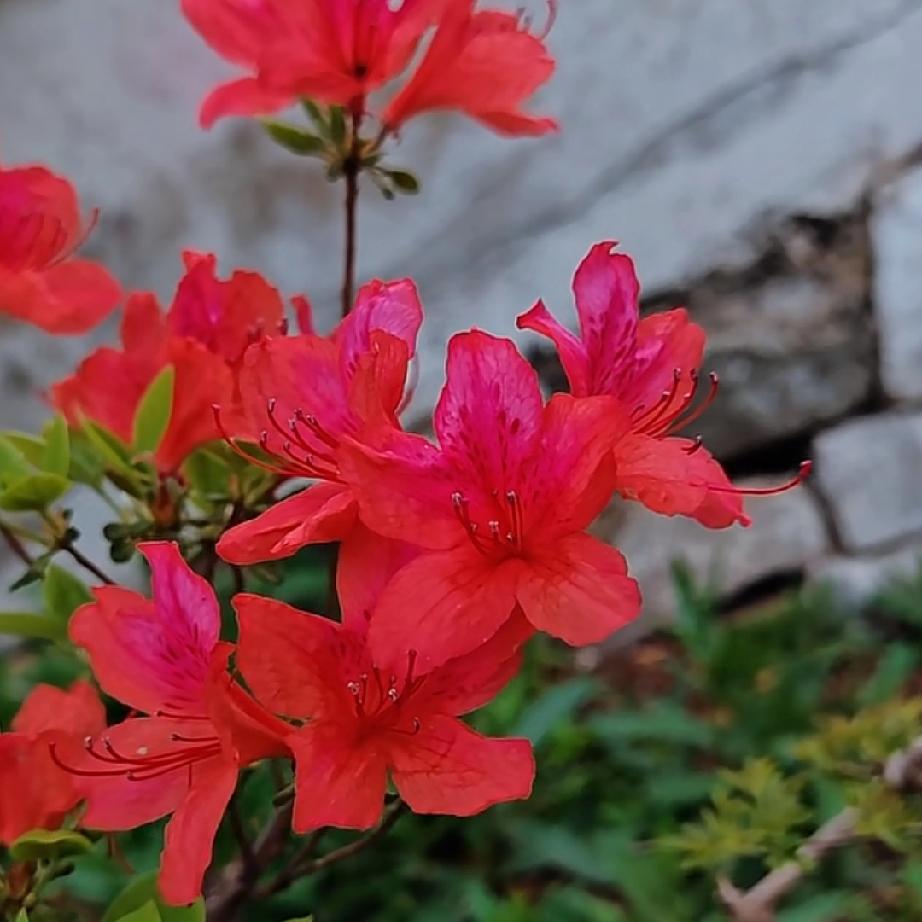 一旦特殊的关系，如果一个男人有这些行为，就是想结束了。第一，他不再主动找你了，