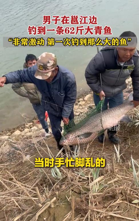 “这简直是捡钱啊！”11月19日，广西南宁，一男子在河边钓鱼时，鱼线突然绷直，整