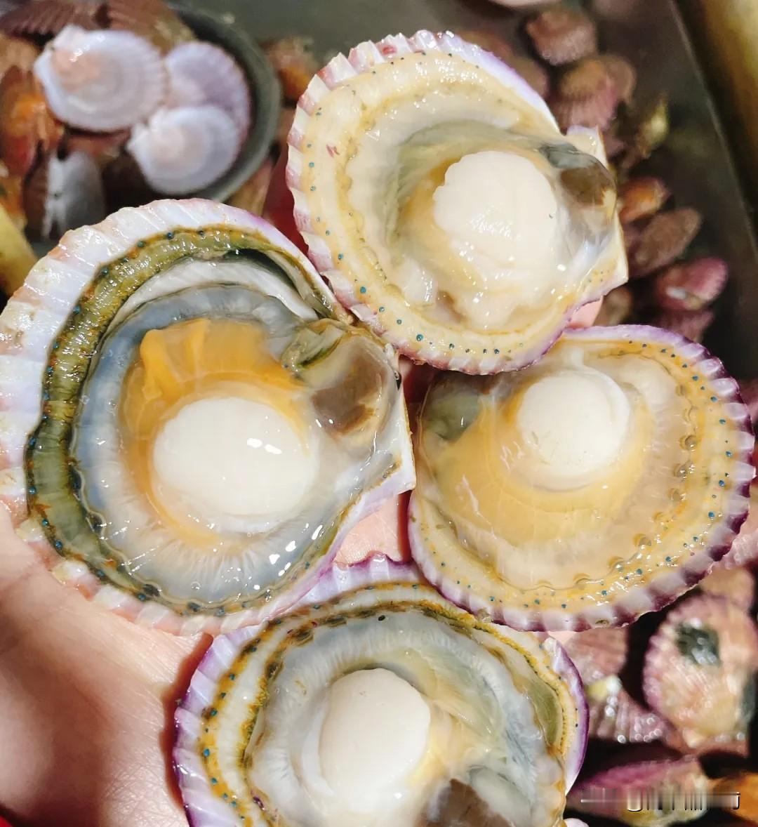 不出意外的话！！高端日料店老板要愁得薅头发了。不是成本太高，也不是房租涨价，