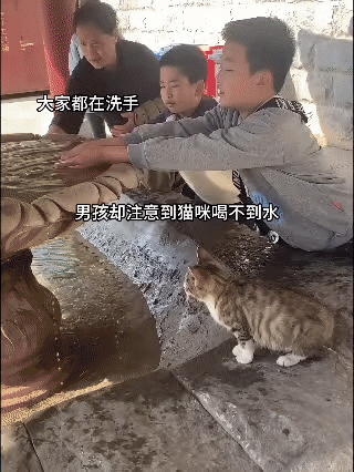 众人在水池边洗手时，男孩留意到一旁的小猫喝不到水，便贴心地用手捧水喂给猫咪。